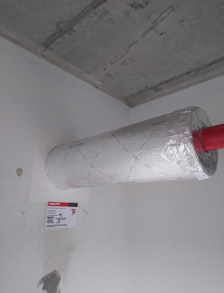 Zdjęcie WhatsApp 2024-09-26 o 13.33.22_30faa2a4